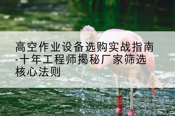 宝应剪叉式升降机厂家-高空作业设备选购实战指南-十年工程师揭秘厂家筛选核心法则
