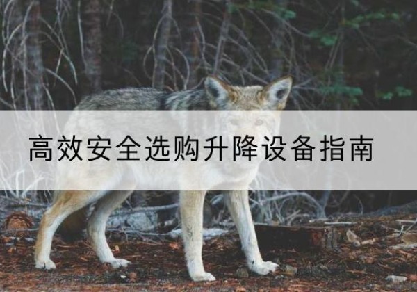 宝应升降货梯厂家推荐-*安全选购升降设备指南