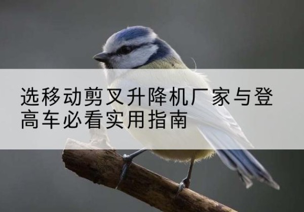 宝应电动升降机厂家-选移动剪叉升降机厂家与登高车必看实用指南