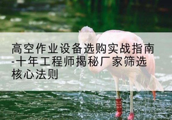 宝应剪叉式升降机厂家-高空作业设备选购实战指南-十年工程师揭秘厂家筛选核心法则